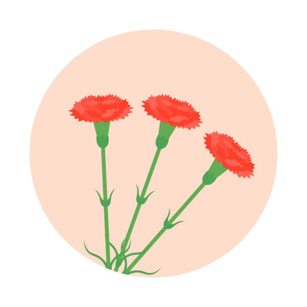 Icon, Carnation. Vector Illustration on White Background.
